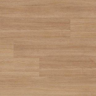 Ламинат Kaindl | K2752 Дуб Aviva Vernal 1383 x 193 mm 8.0 mm 209694 фото