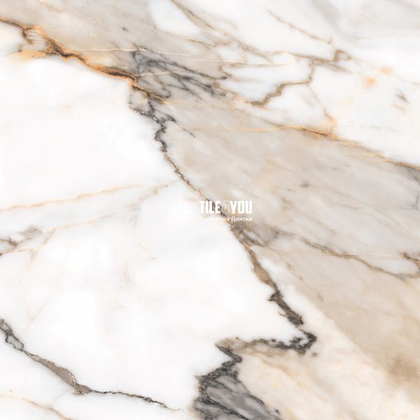 Керамогранит Netto Ceramika | Marmore Beige Polished 60&times;60 18010 фото