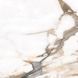 Керамогранит Netto Ceramika | Marmore Beige Polished 60&times;60 18010 фото 7