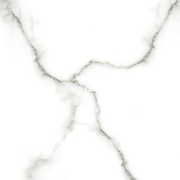 Керамогранит Netto Ceramika | Carrara Polished 60&times;60 18011 фото