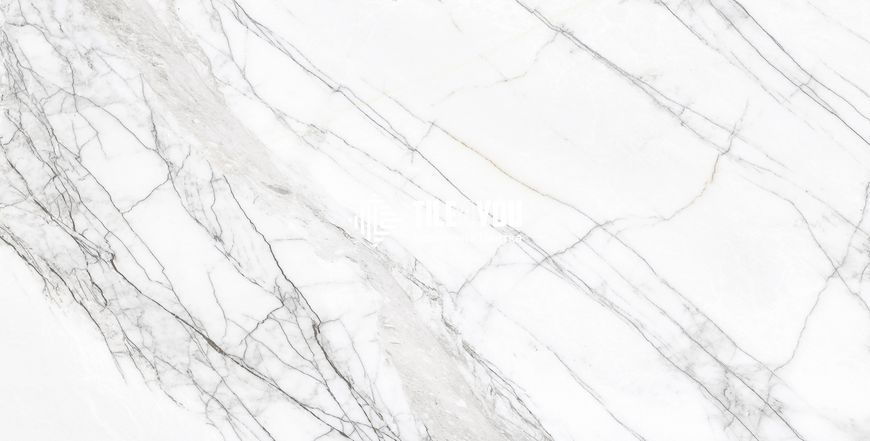 Керамограніт CERAMA MARKET | Natural Carrara 60x120 см 16428 фото