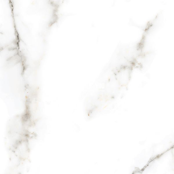 Керамогранит Netto Ceramika | Carrara Polished 80&times;80 18012 фото
