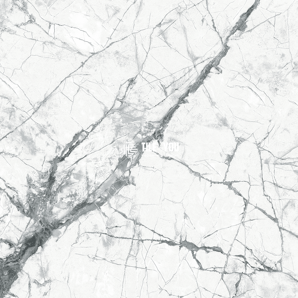 Statuario серый светлый 6060 209 071/L 60x60 см 18435 фото