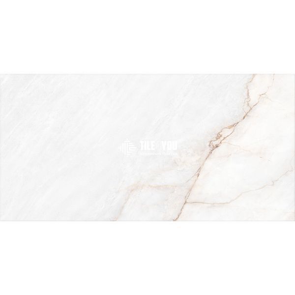 Керамограніт Peronda | Dahlia White NT 60x120 см 17652 фото