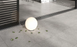 Керамогранит Cersanit | BRAVIO LIGHT GREY MATT 29,8X29,8 G1 19282 фото 3