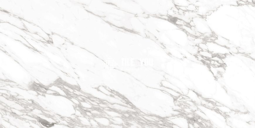 Керамогранит CERAMA MARKET | ARABESCATO SILVER SUGAR 60x120 16824 фото