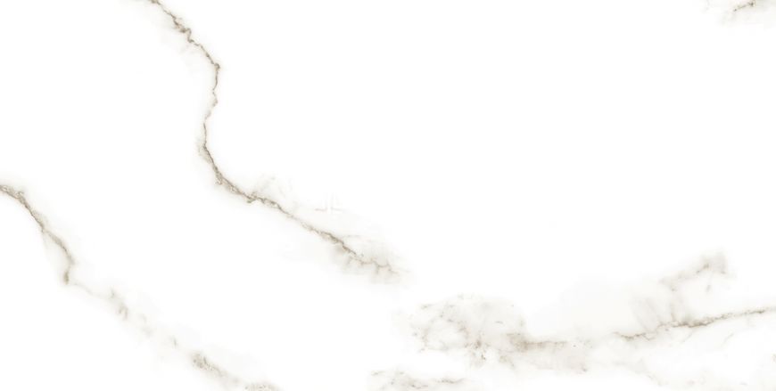 Керамогранит Netto Ceramika | Carrara Polished 60&times;120 18013 фото