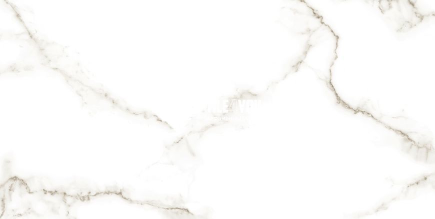 Керамогранит Netto Ceramika | Carrara Polished 60&times;120 18013 фото