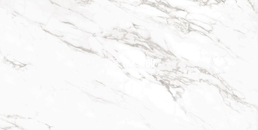Керамогранит CERAMA MARKET | ARABESCATO SILVER SUGAR 60x120 16824 фото