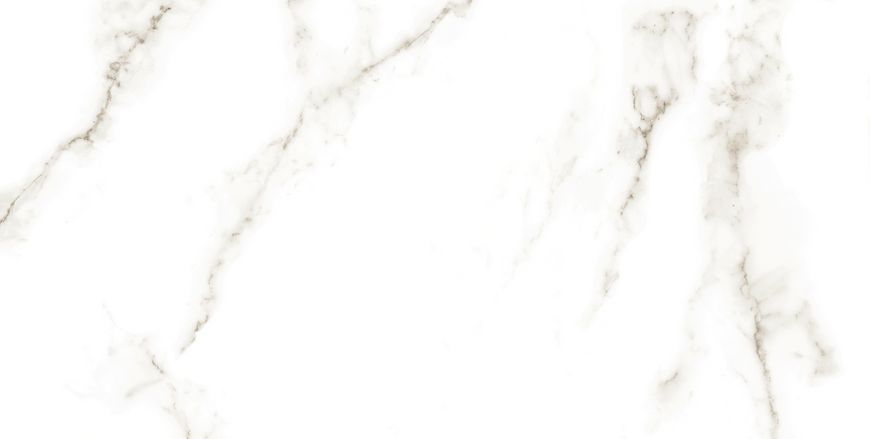 Керамогранит Netto Ceramika | Carrara Polished 60&times;120 18013 фото