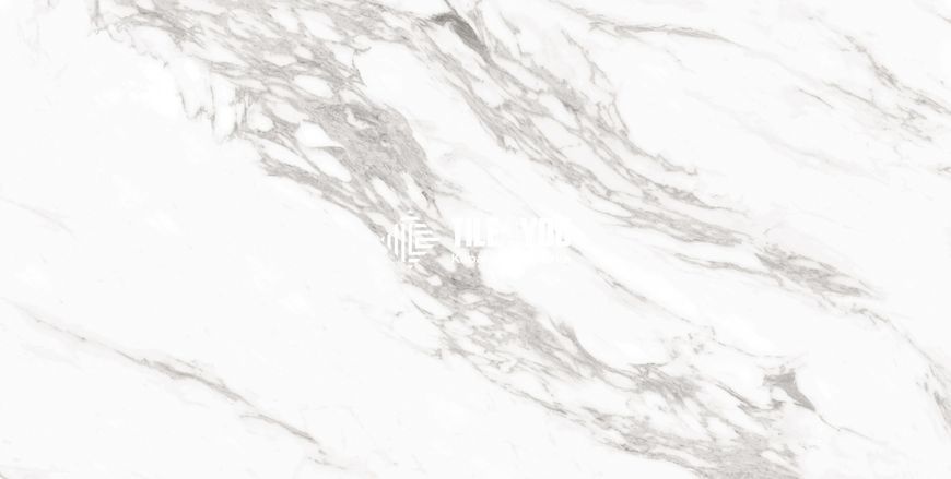 Керамогранит CERAMA MARKET | ARABESCATO SILVER SUGAR 60x120 16824 фото