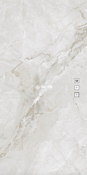 Керамограніт Fiera Ceramica | YC86613 Polished 60x120 202247 фото