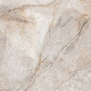 Керамогранит Teo Ceramics (Allore) | River Beige F P 600x600x8 R Mat 1 18165 фото