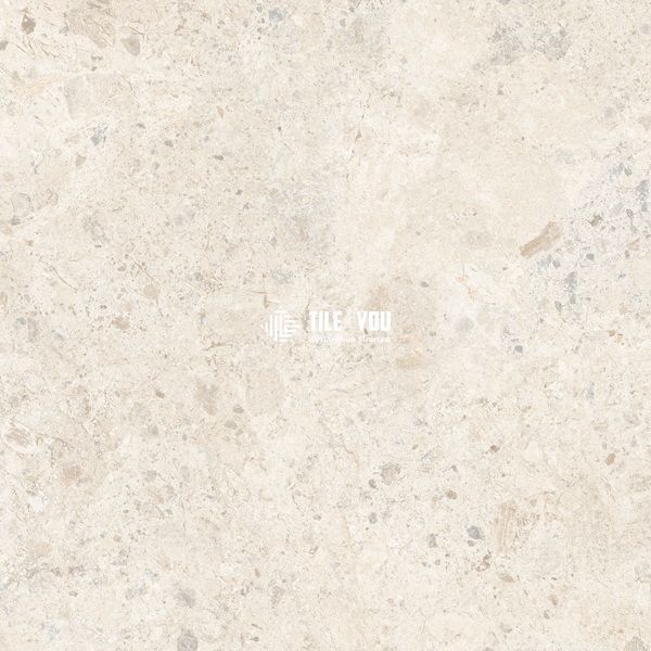 Керамограніт Almera Ceramica | Плитка Ec.Ambrossia White 100х100 см 209869 фото
