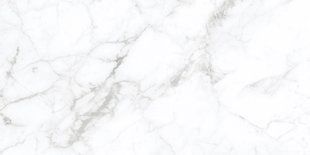 Керамограніт Primavera | Плитка CALACATTA SILVER білий 60х120 matt AG0980 208941 фото