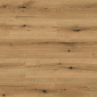 Ламинат Kaindl | K5573 Дуб Evoke Coats 1290 x 193 mm 10.0 mm 18636 фото