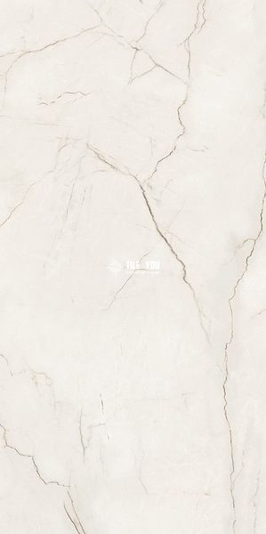 Керамогранит Opoczno | Плитки Arcadia Stone White Mat 59,8x119,8 208602 фото