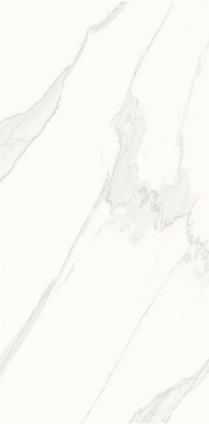 Керамограніт Inspiro | SATVARIO ROYAL POLISHED 600x1200 16970 фото
