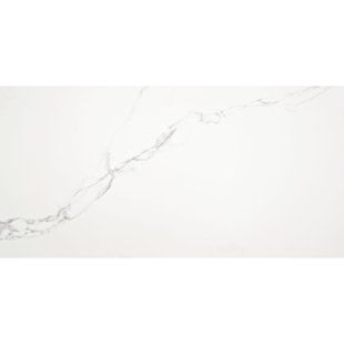 Керамограніт Alaplana | P.E. PUNE BLANCO MATE RECT 60X120 202719 фото