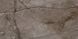 Керамограніт Fiera Ceramica | Root Ash 600х1200х7 18225 фото 5