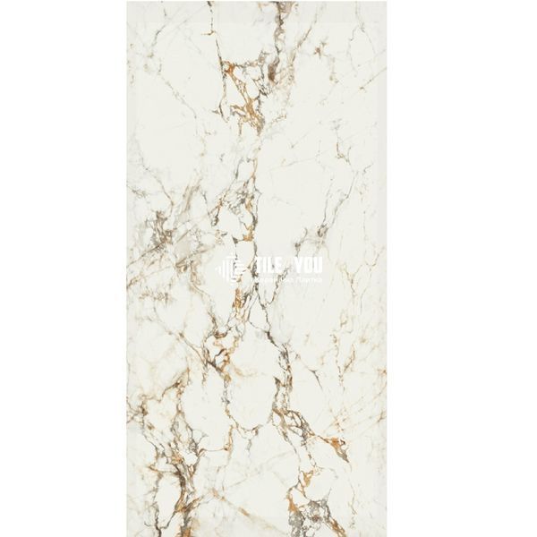 Керамограніт Baldocer | BELLAGIO POLISHED 120*260 202947 фото