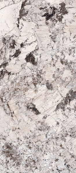 Керамогранит Kutahya | Bianco Antico Polish 120х280 6 мм 208206 фото