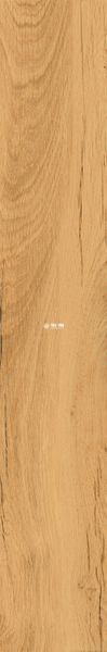 Плитка під дерево Teo Ceramics (Allore) | Alpha Honey F PR 198x1200x8 R Mat 1 17556 фото