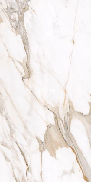 Керамограніт Teo Ceramics (Allore) | Calacatta Gold F P 600x1200x8 R Satin 1 60130186 фото