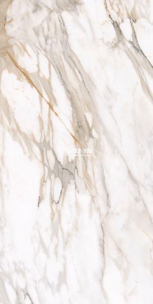Керамограніт Teo Ceramics (Allore) | Calacatta Gold F P 600x1200x8 R Satin 1 60130186 фото