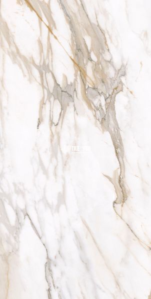 Керамограніт Teo Ceramics (Allore) | Calacatta Gold F P 600x1200x8 R Satin 1 60130186 фото