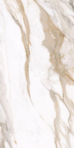 Керамограніт Teo Ceramics (Allore) | Calacatta Gold F P 600x1200x8 R Satin 1 60130186 фото