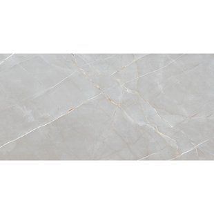 Керамограніт Italica | PANDAMI SILVER PL 60x120 12727 фото