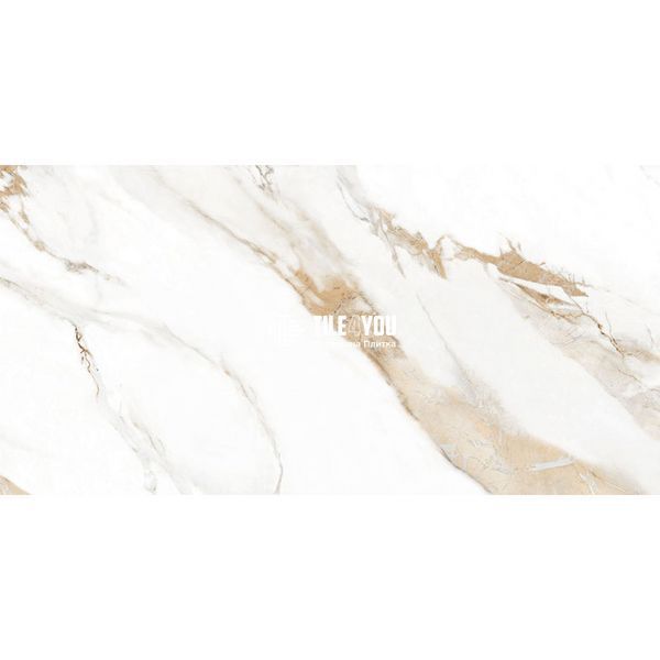 Керамограніт Inter Gres | Calacatta gold сірий 12060 35 071 120x60 см 15886 фото