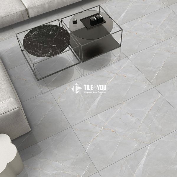 Керамограніт Italica | PANDAMI SILVER PL 60x120 12727 фото