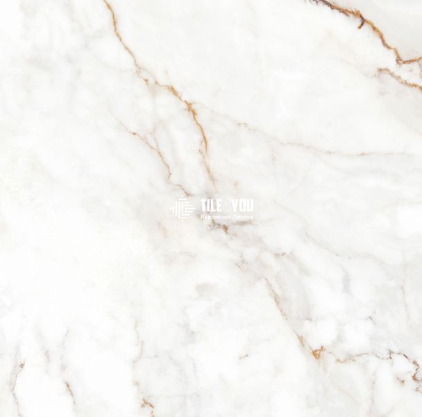 Керамограніт Teo Ceramics (Allore) | Palazzo White F P 600x600x8 R Satin 1 60131333 фото