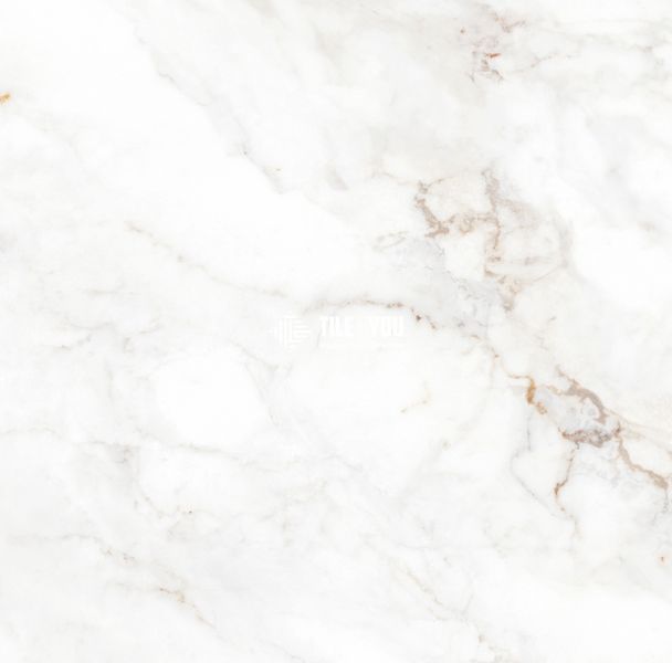 Керамограніт Teo Ceramics (Allore) | Palazzo White F P 600x600x8 R Satin 1 60131333 фото