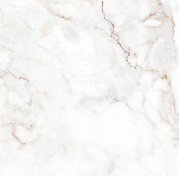Керамограніт Teo Ceramics (Allore) | Palazzo White F P 600x600x8 R Satin 1 60131333 фото
