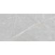Керамограніт Italica | PANDAMI SILVER PL 60x120 12727 фото 4