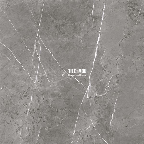Керамограніт Primavera | Плитка MARBLE MOOD сірий 60х60 глянцева MD2590 202782 фото