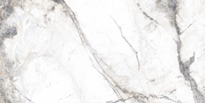 Керамограніт Fiera Ceramica | Premium Marble Visage Weiss 1200x600 18127 фото