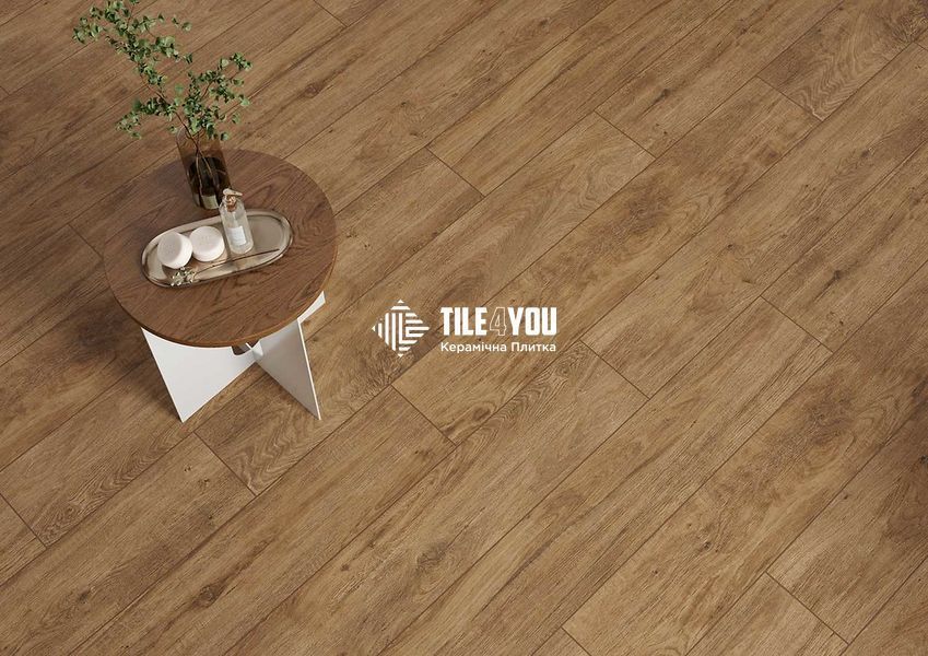 Плитка під дерево Cersanit | Brantwood Brown Mat Rect 19,8x119,8 G1 18916 фото