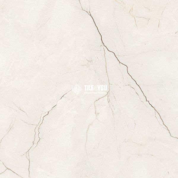 Керамограніт Opoczno | ARCADIA STONE WHITE MATT RECT 59,8X59,8 G1 208603 фото
