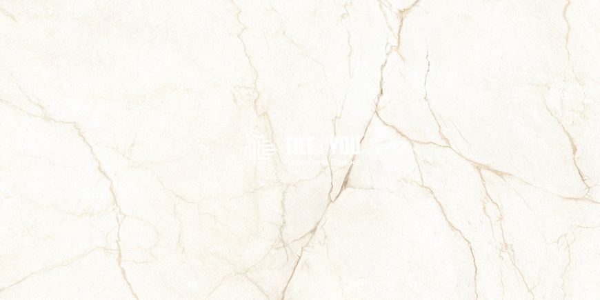 Керамогранит Almera Ceramica | Плитка Ec.Alberi Blanco 60х120 см 209883 фото