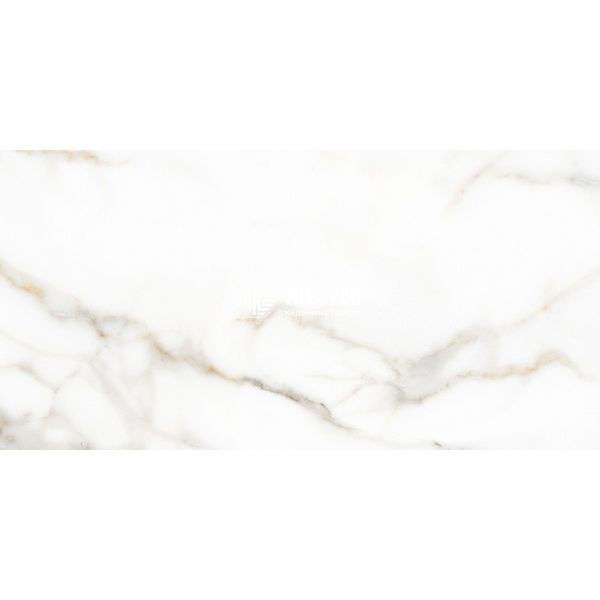 Керамограніт Italica | DAMA SHINE PL 60x120 12732 фото