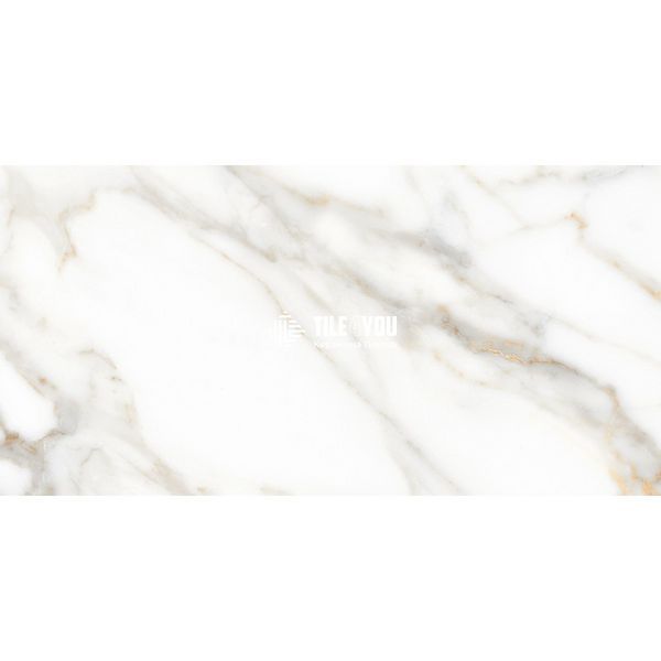 Керамограніт Italica | DAMA SHINE PL 60x120 12732 фото