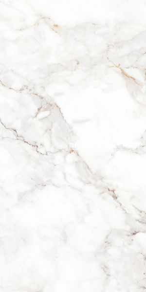 Керамограніт Teo Ceramics (Allore) | Palazzo White F P 600x1200x8 R Full Lappato 1 16840 фото