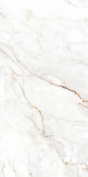 Керамограніт Teo Ceramics (Allore) | Palazzo White F P 600x1200x8 R Full Lappato 1 16840 фото