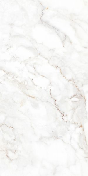 Керамограніт Teo Ceramics (Allore) | Palazzo White F P 600x1200x8 R Full Lappato 1 16840 фото