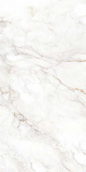 Керамограніт Teo Ceramics (Allore) | Palazzo White F P 600x1200x8 R Full Lappato 1 16840 фото