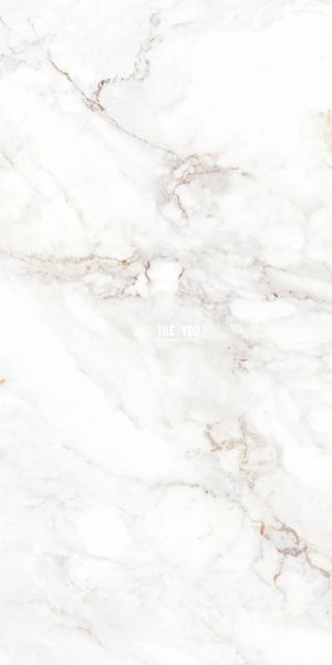 Керамограніт Teo Ceramics (Allore) | Palazzo White F P 600x1200x8 R Full Lappato 1 16840 фото